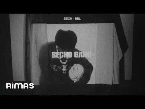 Sech - Sech -  BBL (Visualizer) | SECHO GANG