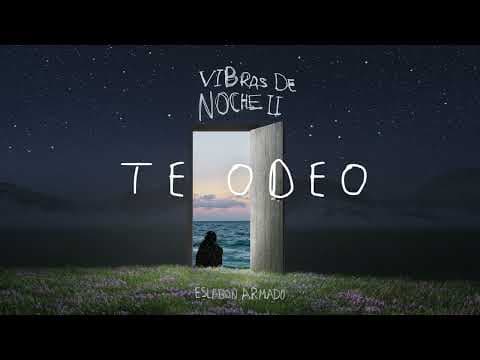 Eslabón Armado - 02. Te Odeo lyric Video