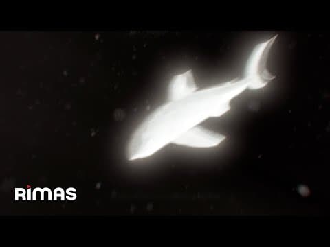 Yandel - Yandel - El Trote (Visualizer) Infinito