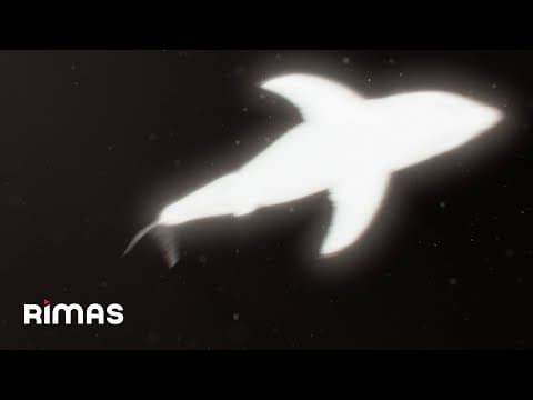 Yandel - Yandel - Pa' Ti Full (Visualizer) / Infinito