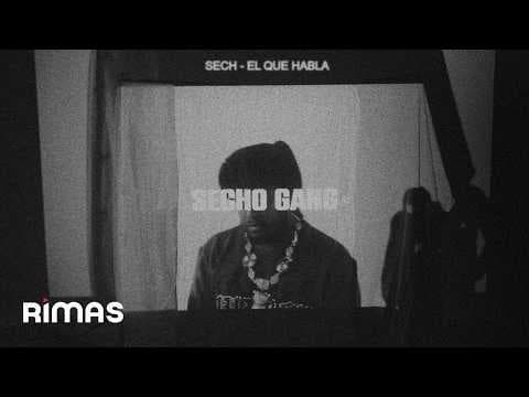 Sech - Sech - EL QUE HABLA (Visualizer) | SECHO GANG