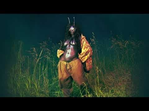 SZA - SZA - No More Hiding (Official Audio)