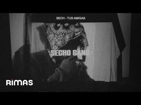 Sech - Sech - TUS AMIGAS (Visualizer) | SECHO GANG