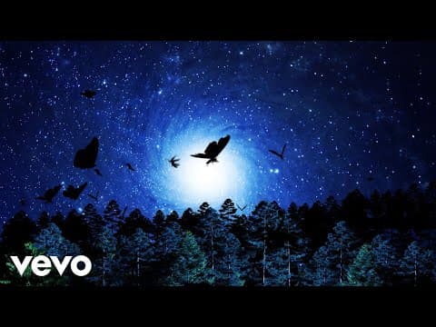 SZA - SZA - Open Arms (just SZA) (Lyric Video)